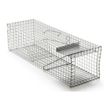 Live Catch Rabbit Cage Trap - AFS